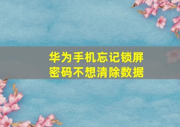 华为手机忘记锁屏密码不想清除数据