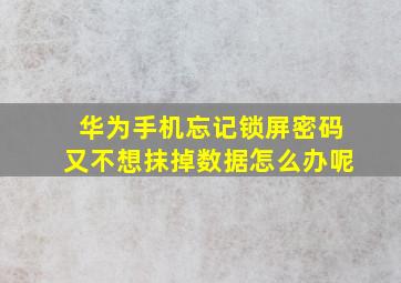 华为手机忘记锁屏密码又不想抹掉数据怎么办呢