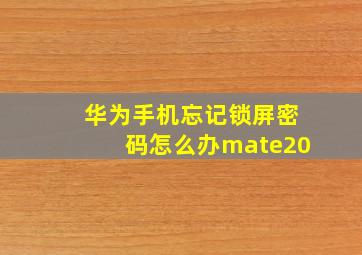 华为手机忘记锁屏密码怎么办mate20