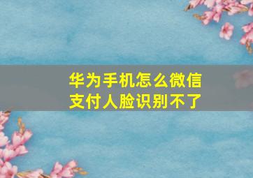 华为手机怎么微信支付人脸识别不了