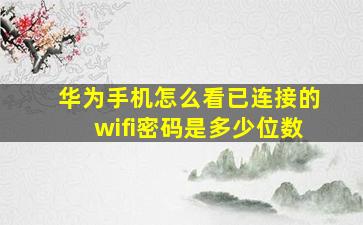 华为手机怎么看已连接的wifi密码是多少位数