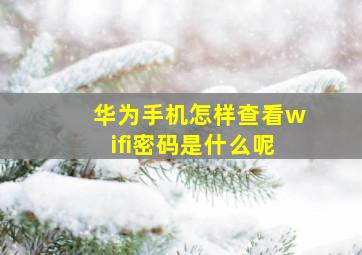 华为手机怎样查看wifi密码是什么呢