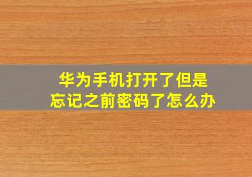 华为手机打开了但是忘记之前密码了怎么办