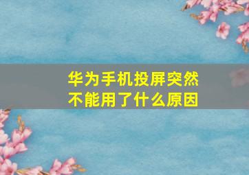 华为手机投屏突然不能用了什么原因