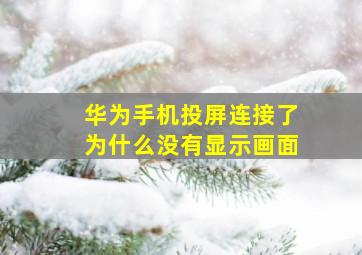 华为手机投屏连接了为什么没有显示画面