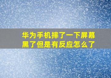 华为手机摔了一下屏幕黑了但是有反应怎么了