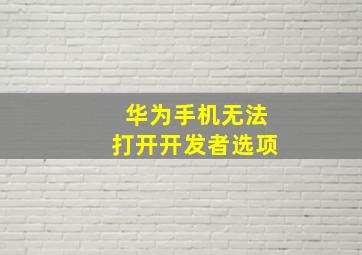 华为手机无法打开开发者选项