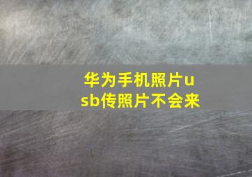 华为手机照片usb传照片不会来