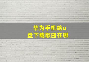 华为手机给u盘下载歌曲在哪