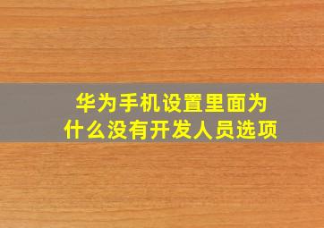 华为手机设置里面为什么没有开发人员选项