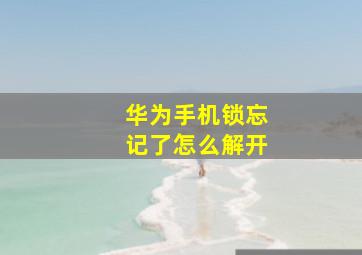 华为手机锁忘记了怎么解开