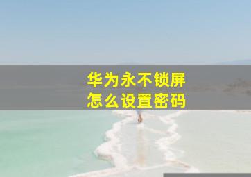 华为永不锁屏怎么设置密码