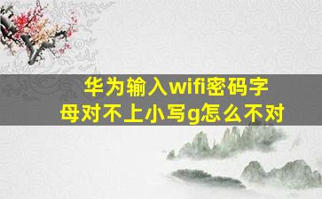 华为输入wifi密码字母对不上小写g怎么不对