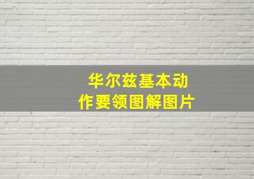 华尔兹基本动作要领图解图片