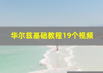 华尔兹基础教程19个视频