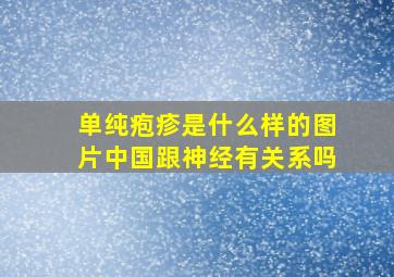 单纯疱疹是什么样的图片中国跟神经有关系吗