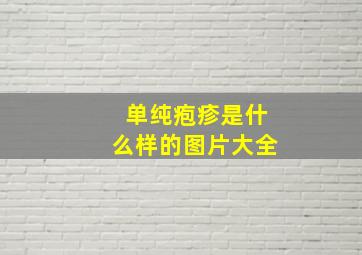 单纯疱疹是什么样的图片大全