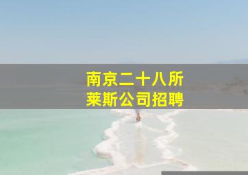 南京二十八所莱斯公司招聘