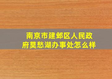 南京市建邺区人民政府莫愁湖办事处怎么样