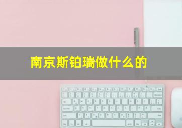 南京斯铂瑞做什么的