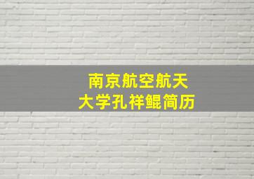 南京航空航天大学孔祥鲲简历