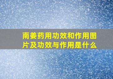 南姜药用功效和作用图片及功效与作用是什么