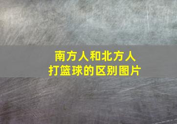 南方人和北方人打篮球的区别图片