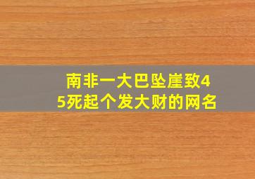 南非一大巴坠崖致45死起个发大财的网名