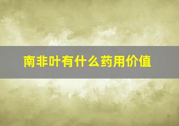 南非叶有什么药用价值