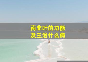 南非叶的功能及主治什么病