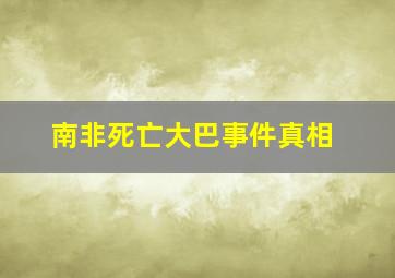 南非死亡大巴事件真相