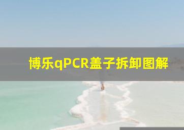 博乐qPCR盖子拆卸图解