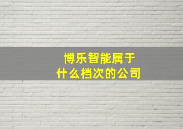 博乐智能属于什么档次的公司