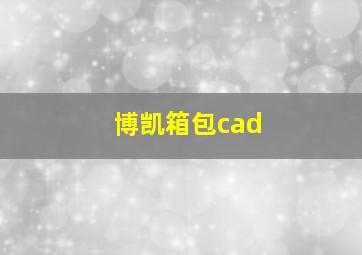 博凯箱包cad