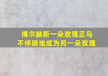 博尔赫斯一朵玫瑰正马不停蹄地成为另一朵玫瑰