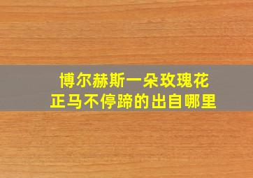 博尔赫斯一朵玫瑰花正马不停蹄的出自哪里