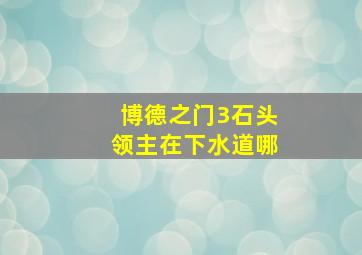 博德之门3石头领主在下水道哪