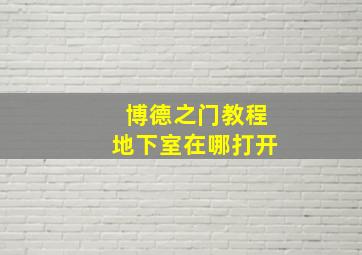 博德之门教程地下室在哪打开