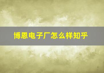 博恩电子厂怎么样知乎