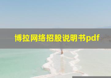 博拉网络招股说明书pdf