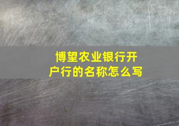 博望农业银行开户行的名称怎么写