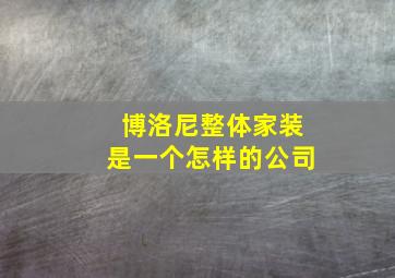 博洛尼整体家装是一个怎样的公司