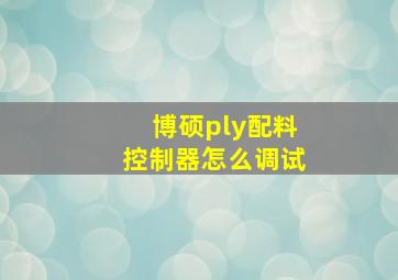 博硕ply配料控制器怎么调试