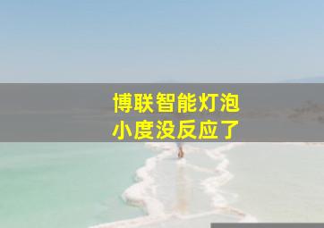 博联智能灯泡小度没反应了