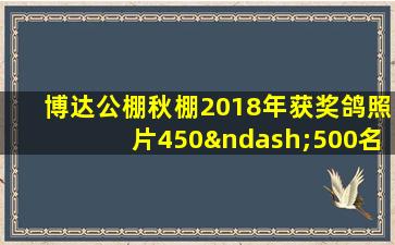 博达公棚秋棚2018年获奖鸽照片450–500名