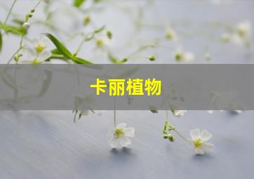 卡丽植物