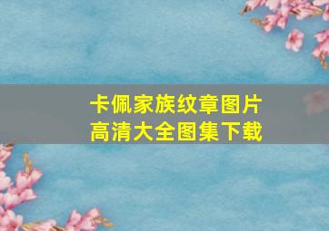 卡佩家族纹章图片高清大全图集下载