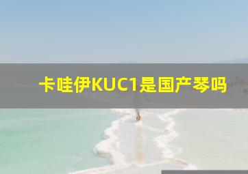 卡哇伊KUC1是国产琴吗