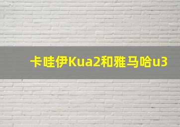 卡哇伊Kua2和雅马哈u3