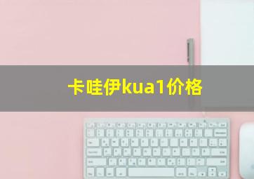 卡哇伊kua1价格